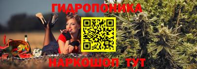 дмт Гагарин