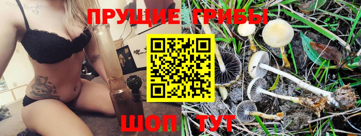 Галлюциногенные грибы Psilocybe  Псилоцибиновые грибы Cubensis  Новоалександровск  Вход с VPN 