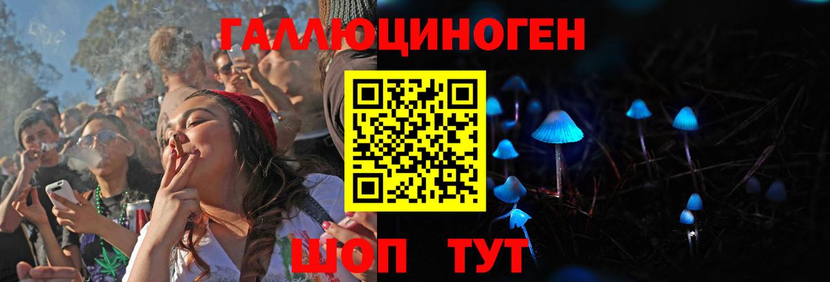 Псилоцибиновые грибы прущие грибы Новоалександровск
